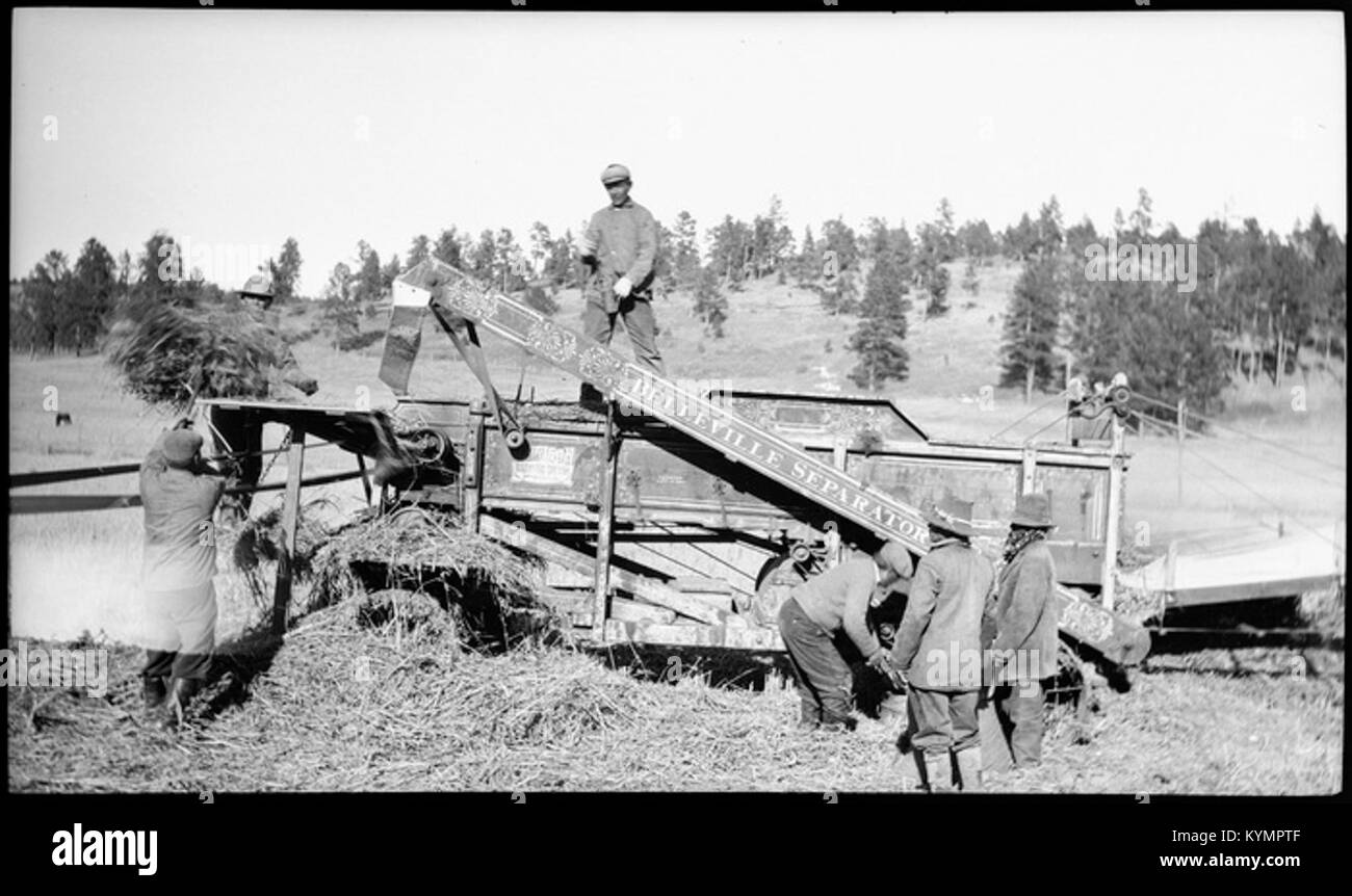 Un'immagine storica di una macchina separatore in uso, parte di un processo agricolo, che mostra le attrezzature agricole del passato. Foto Stock