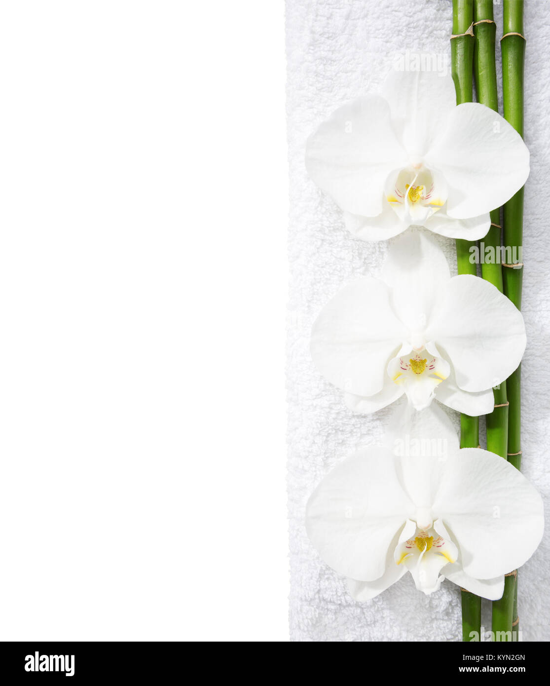 Tre le orchidee e i rami di bambù giacente su asciugamano bianco. Visto dal di sopra. Concetto di Spa. Foto Stock
