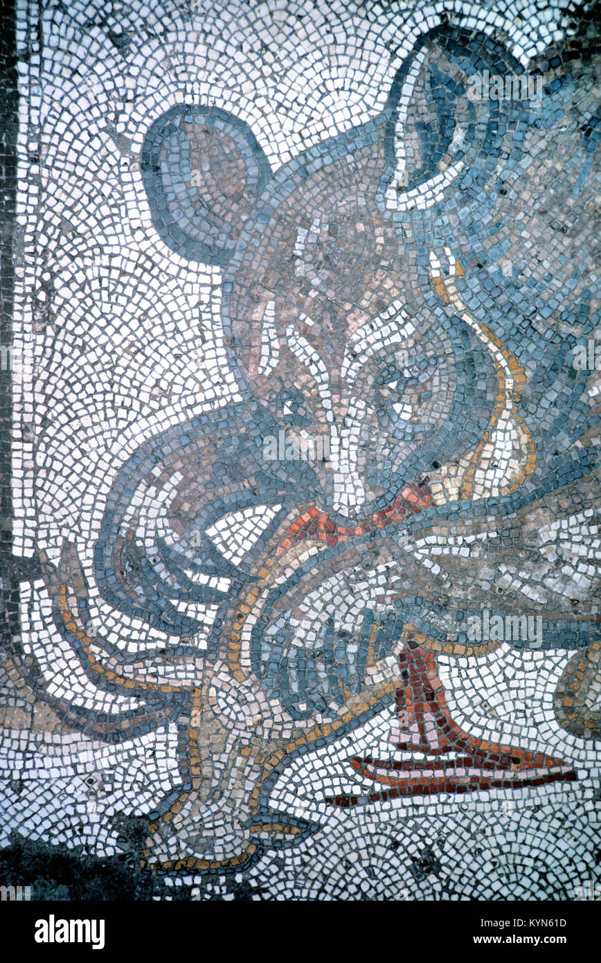 Orso bruno Ursus arctos, Mangiare feste di addio al celibato o al cervo c5a pavimento bizantino mosaico del grande palazzo di Bisanzio, Istanbul, Turchia Foto Stock