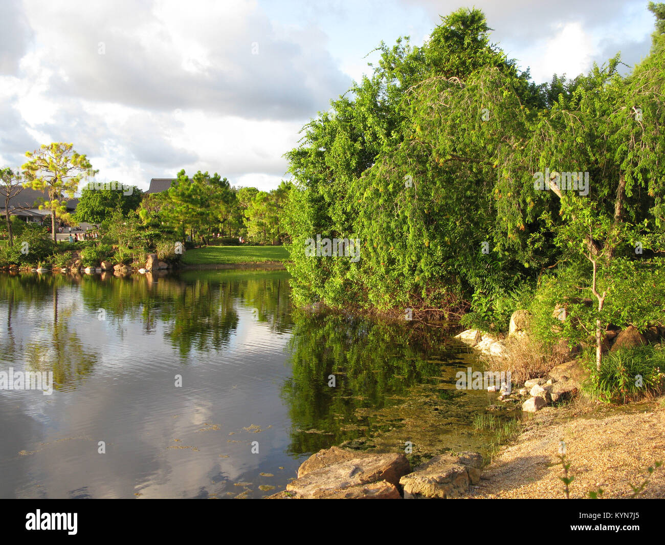Morikami Museum e Giardini Giapponesi Delray Beach, Palm Beach County, Florida, Stati Uniti Foto Stock