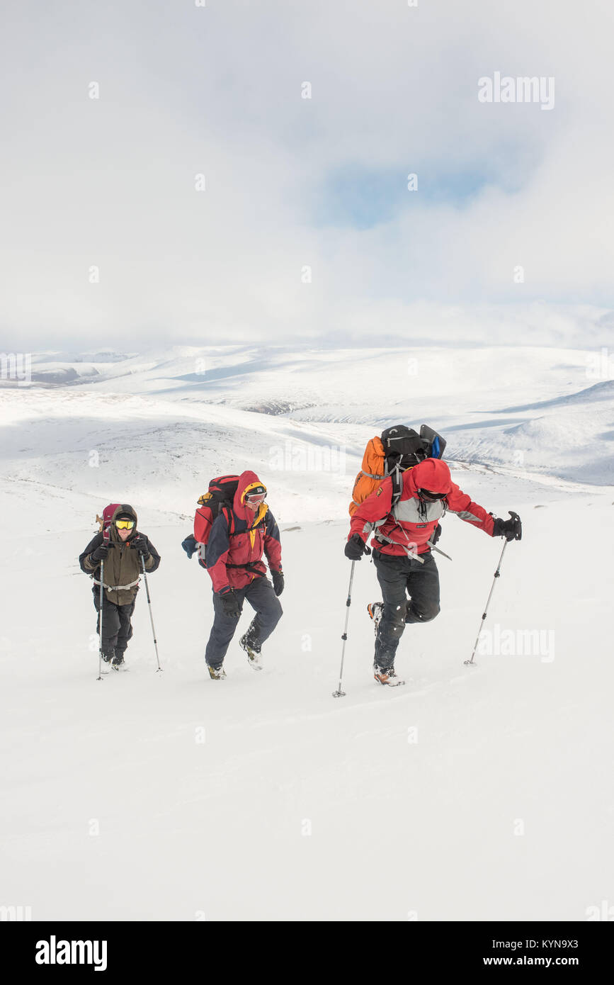 Camminare fino a Cairn Gorm vertice sul giorno due ©Paolo Glendell Foto Stock