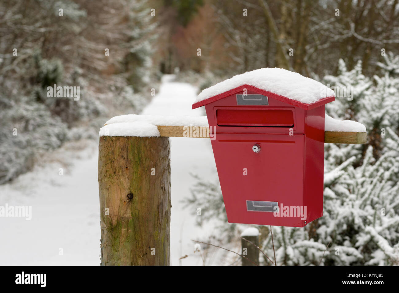 Un metallo rosso letterbox, raffigurato nella neve, alla fine di una traccia da qualche parte in Scozia. Foto Stock