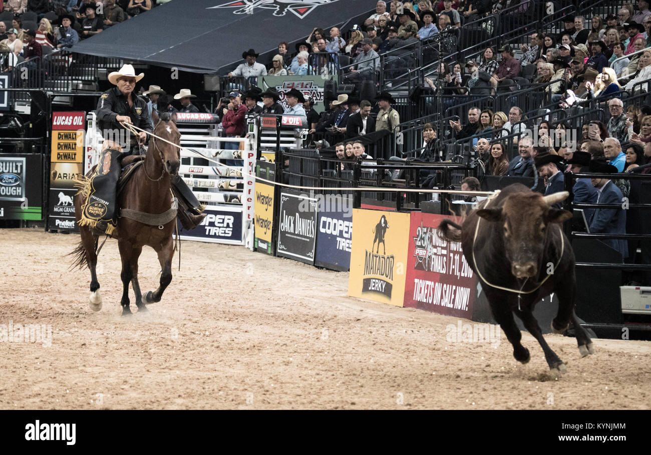 Un toro è lassoed durante il 2017 Professional Bull Riders costruito Ford difficile mondo finali a T-Mobile Arena di Las Vegas, Nevada, nov. 4, 2017. Il PBR onorati caduti Pattuglia di Confine Agent Robert W. Rosas Jr. che è stato ucciso sul dazio in 2009 vicino al Campo, California, mentre risponde alle attività sospette. Stati Uniti Delle dogane e della protezione delle frontiere foto da Bob Bushell Foto Stock