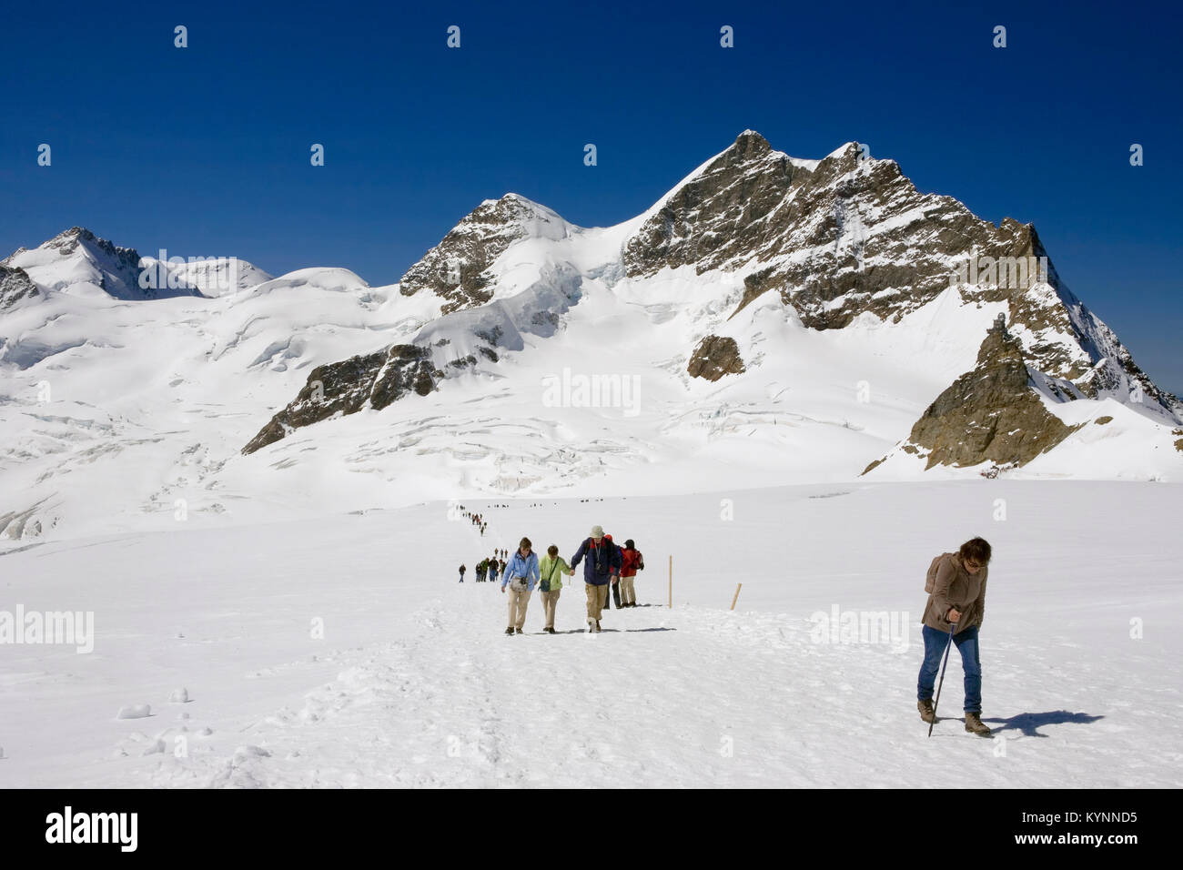 Trekking attraverso il ghiacciaio Jungfraufirn a Obers Mönchjoch, con oltre, l'osservatorio Sphinx e la Jungfrau sopra: Oberland Bernese, Svizzera Foto Stock