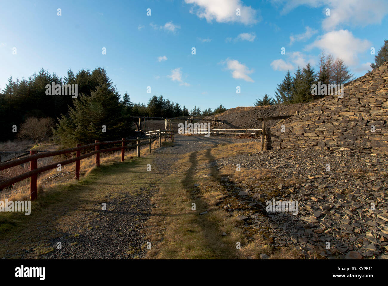 Llywernog, nr Aberystwyth, Ceredigion, Galles. 07/01/2018 Foto Stock