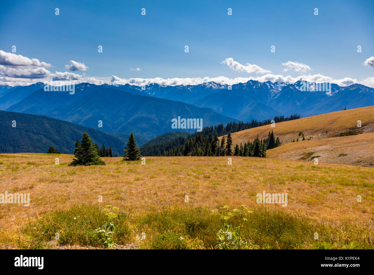 Nuvole sopra le montagne olimpiche da Hurricane Ridge in Oyympic Parco Nazionale di Washington Foto Stock