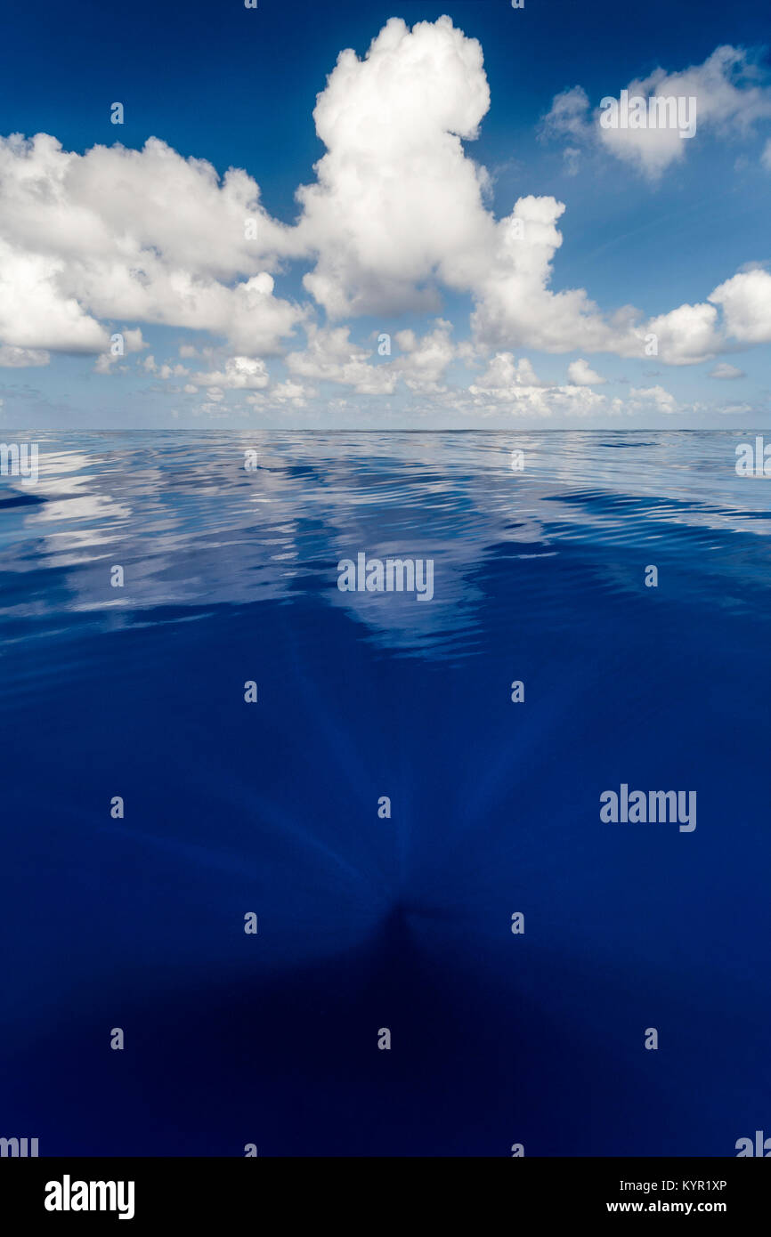 Il Oceano Atlantico centrale, da qualche parte tra le USVI e Bermuda. L'acqua qui è a 3 miglia di profondità, crystal clear e Indigo Blue. Foto Stock