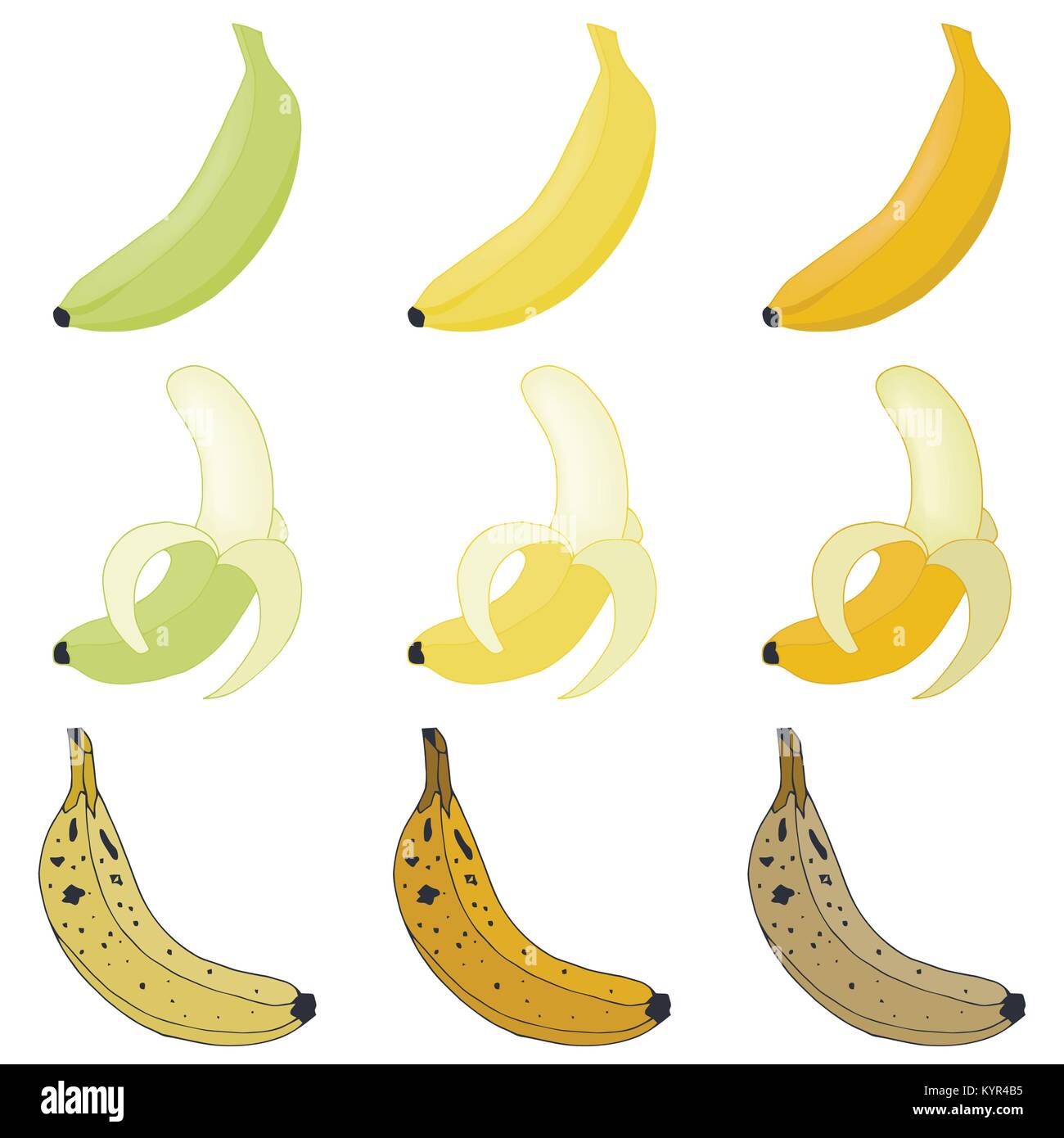 Set vettoriale di banane. Frutta sovramatura e sbucciata Illustrazione Vettoriale