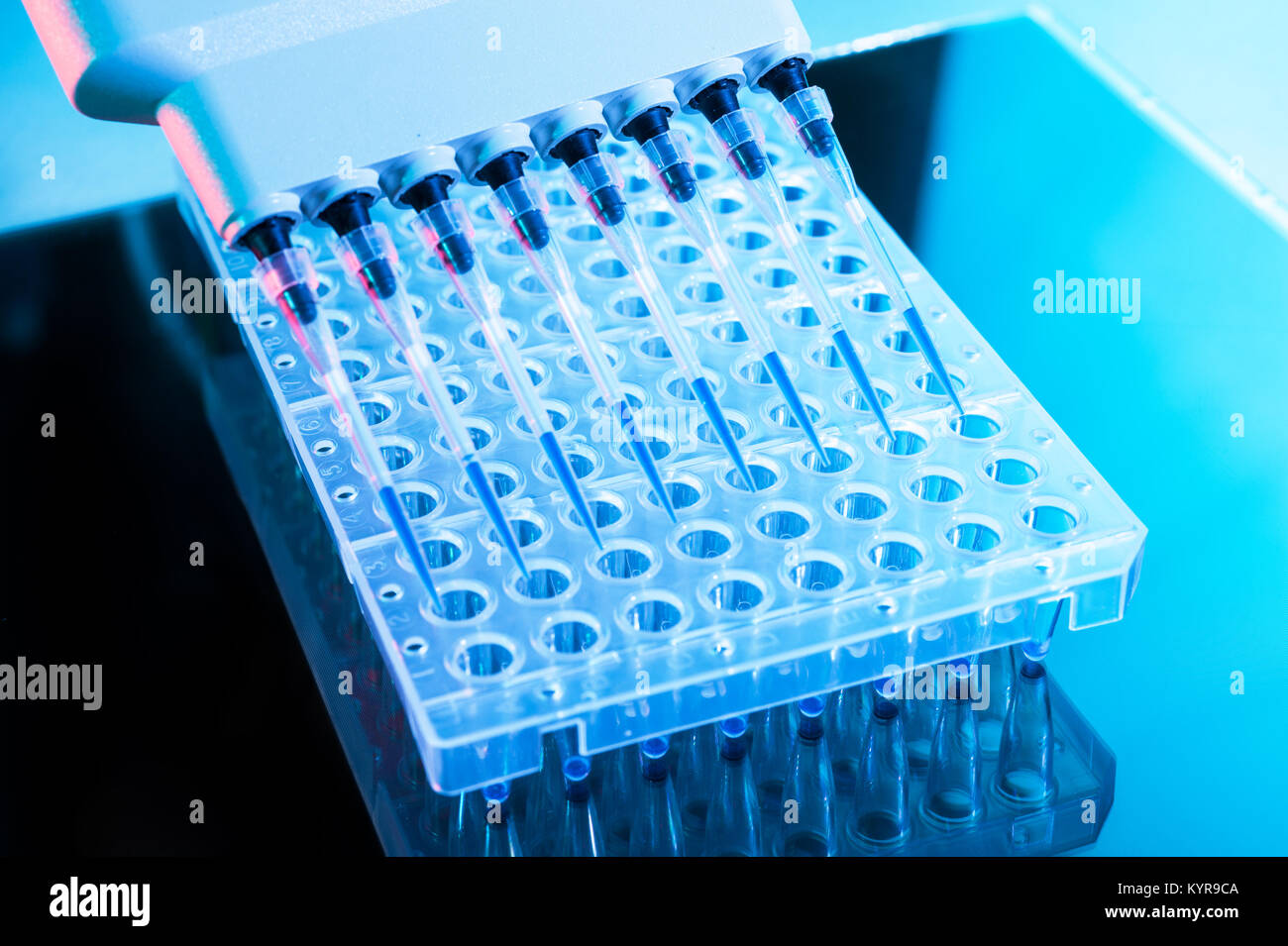 Strumenti per analisi di DNA con la reazione di PCR, multipipette e piastra da 96 pozzetti Foto Stock