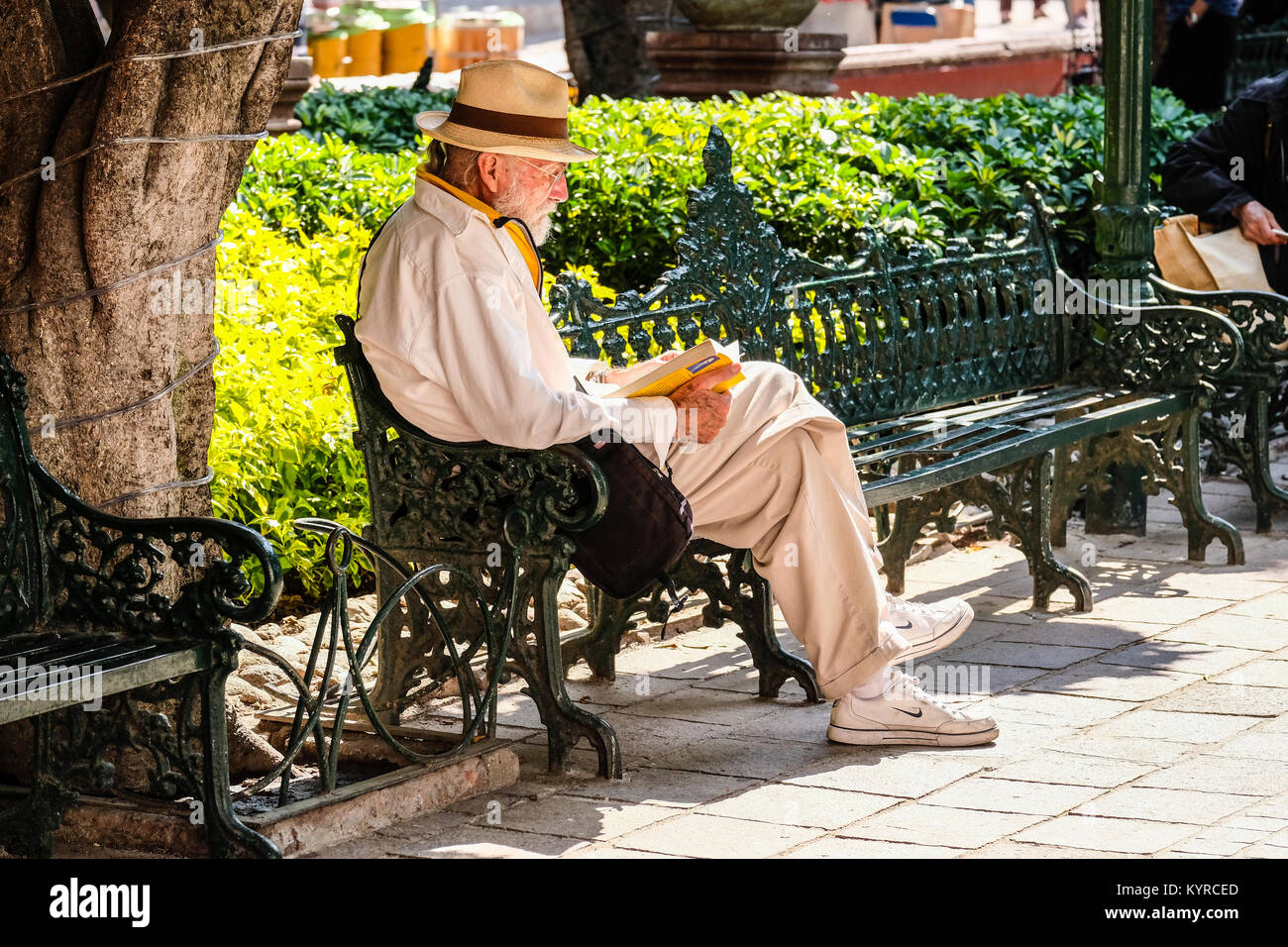 Un vecchio gentleman è la lettura di un libro su una panchina nel parco di El Jardin in San Miguel De Allende,Messico Foto Stock