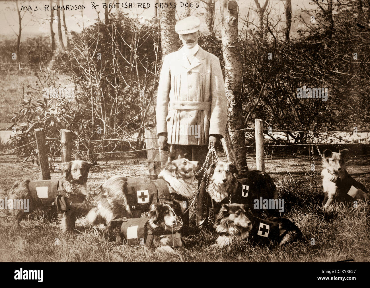 La prima guerra mondiale Foto Stock