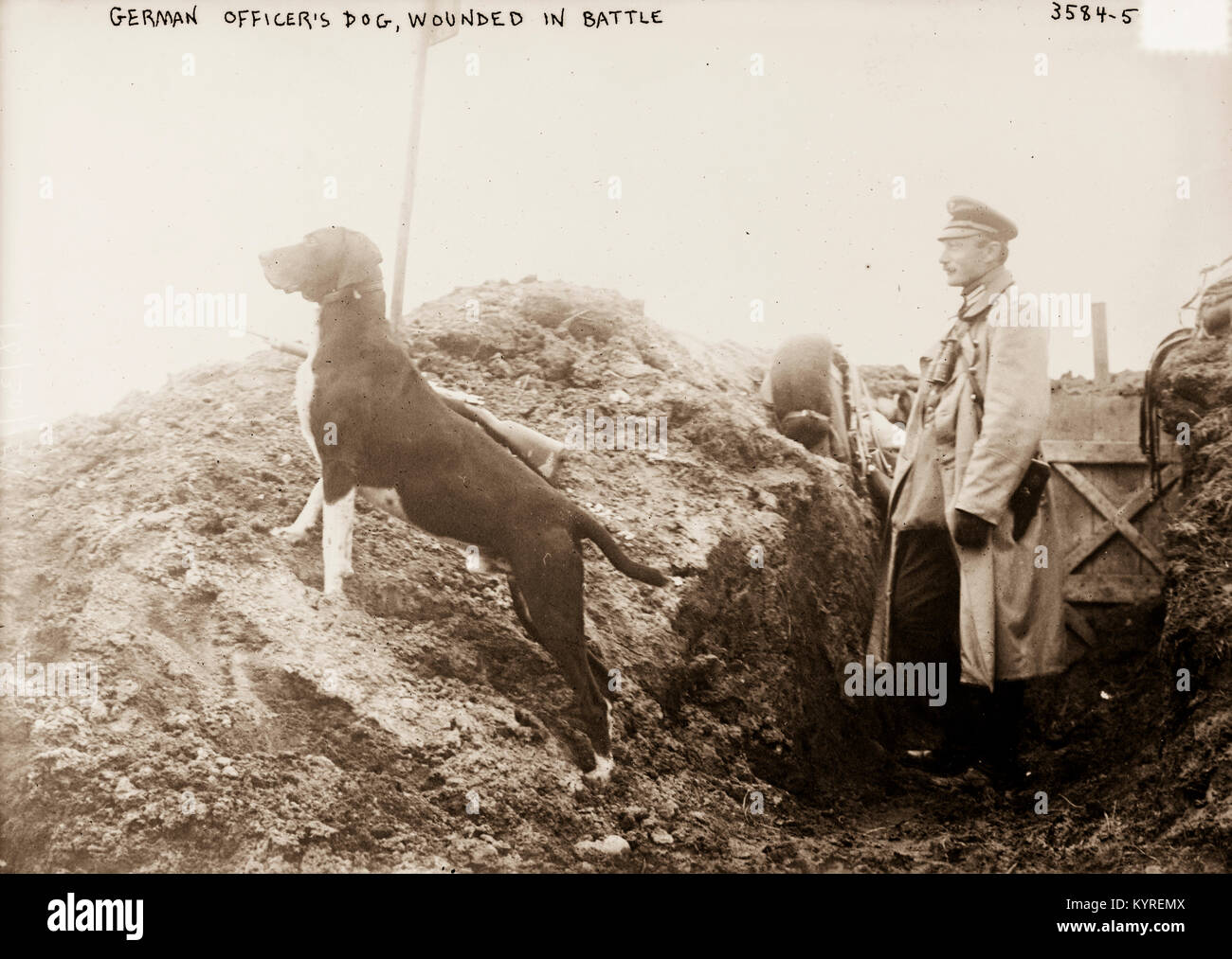 La prima guerra mondiale Foto Stock