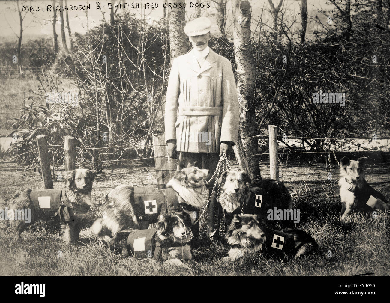 La prima guerra mondiale Foto Stock