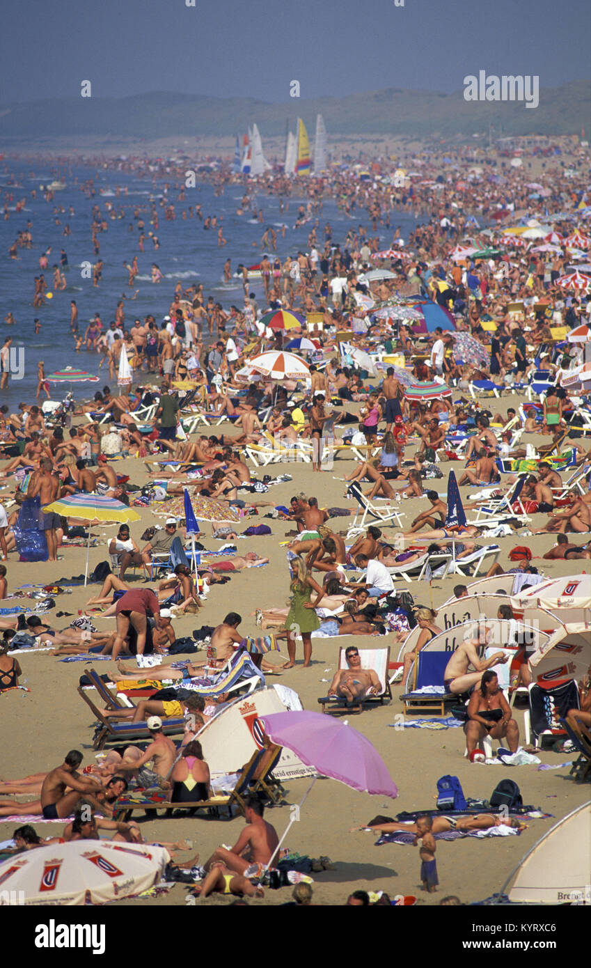 I Paesi Bassi, a Scheveningen, nei pressi dell'Aia o in olandese: Den Haag (L'Aia). La gente a prendere il sole sulla spiaggia. Durante l'estate. Vista aerea da Pier. Foto Stock