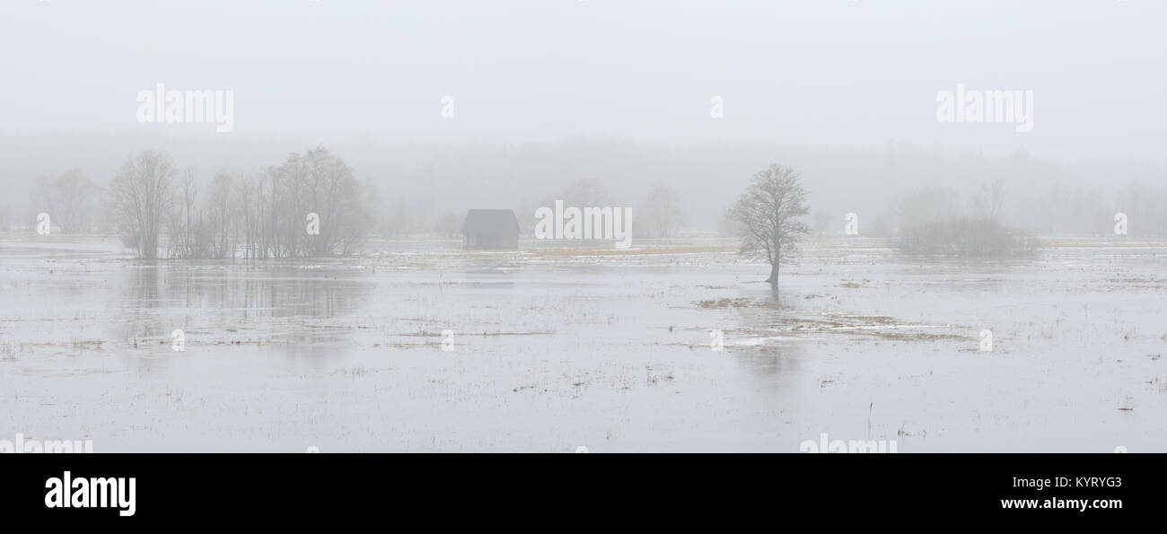 Quinta stagione, inondazioni in Soomaa National Park, Estonia, Europa Foto Stock