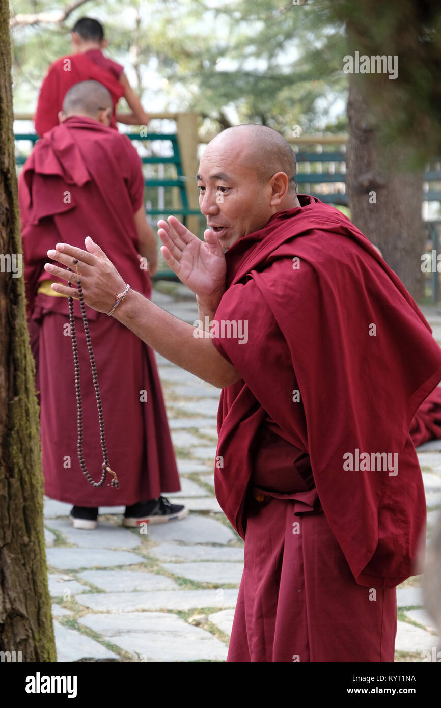 Monaci buddisti tibetani a discutere gli uni con gli altri nella motivazione del governo tibetano in esilio, Dharamshala,l'India Foto Stock