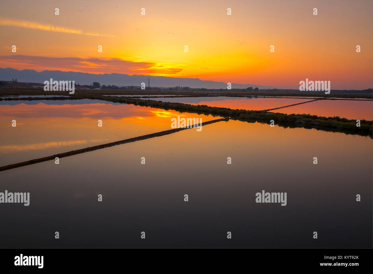 Produzione di sale Foto Stock