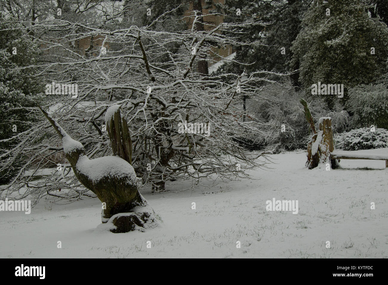 Coperte di neve di Kiwi in legno carving a valle giardini,Harrogate,North Yorkshire, Inghilterra, Regno Unito. Foto Stock