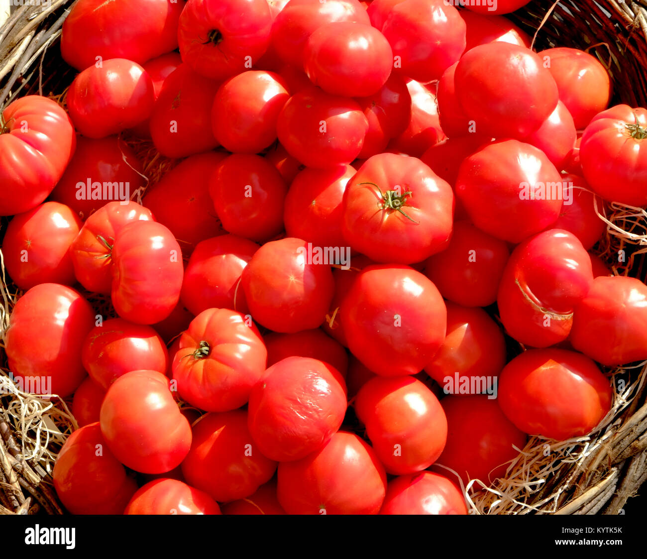 Rosso vibrante pomodori cresciuti in casa su un mercato in stallo la Dordogne, Francia Foto Stock