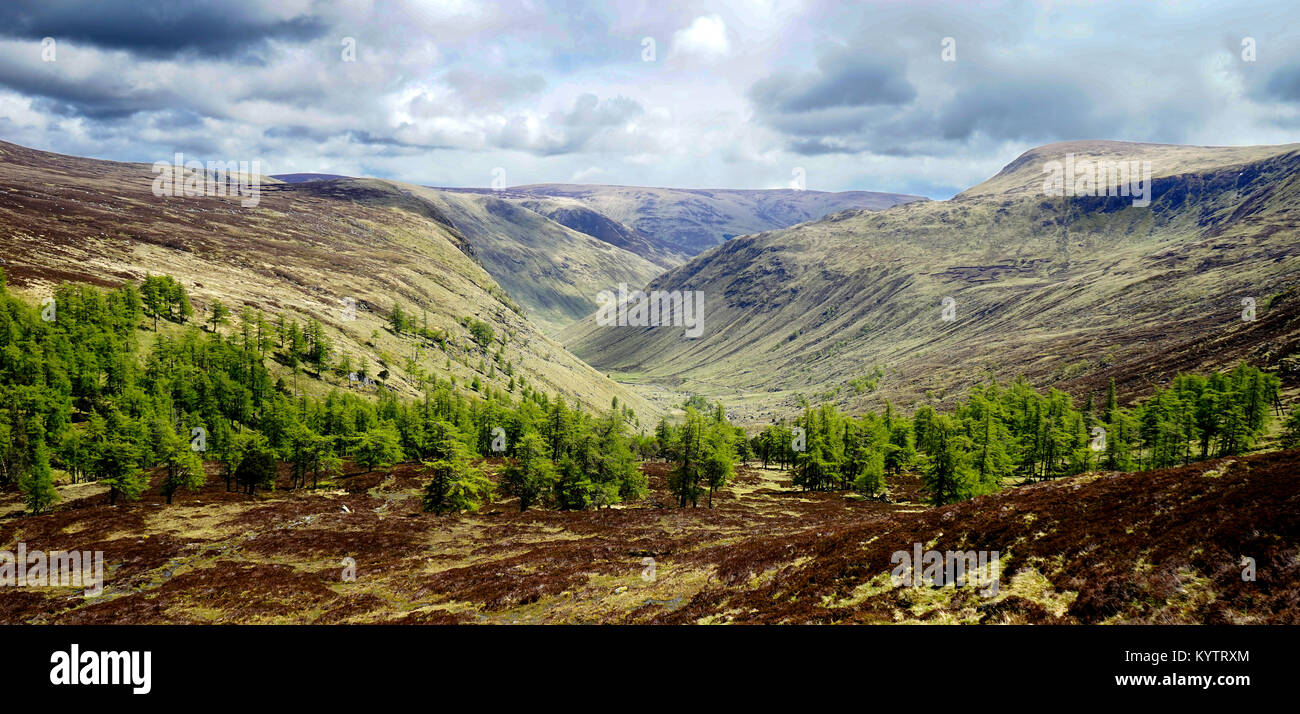 Bachnagairn, Glen Clova, Angus , Scozia. Foto Stock