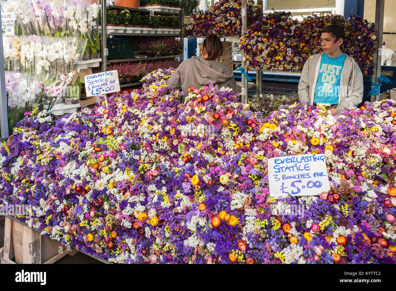 Columbia Road Flower Market Stall con commercianti che vendono la statice eterna, Columbia Rd, Londra, Inghilterra, GB, Regno Unito Foto Stock