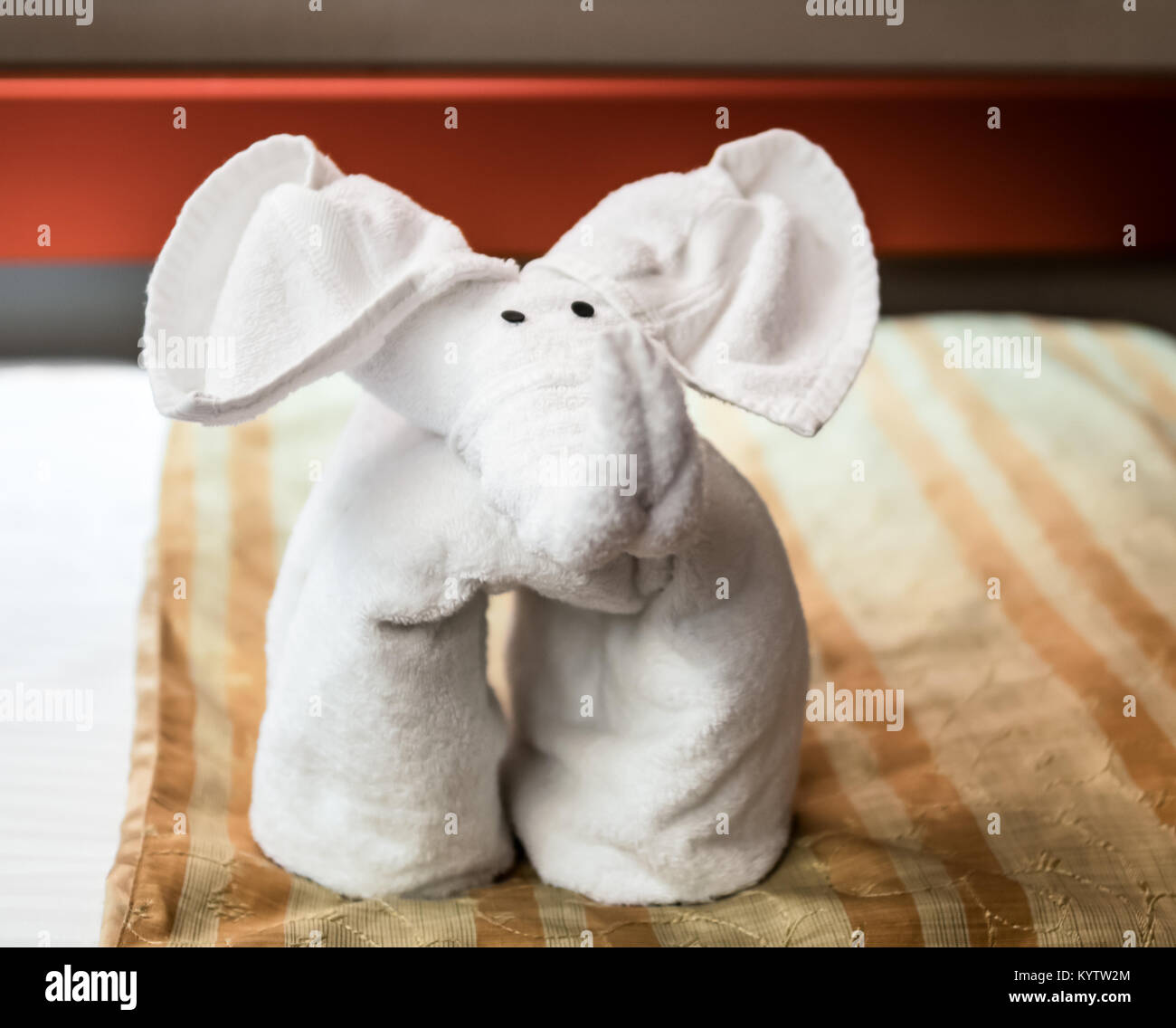 Salvietta ripiegata animale Elefante - faccia anteriore Foto Stock