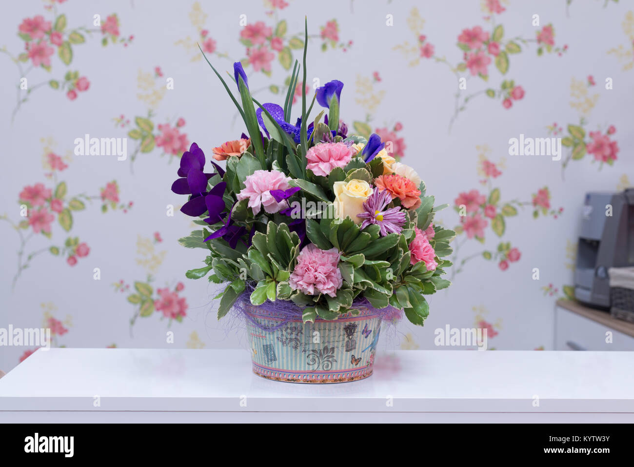 Fiori colorati disposizione in una scatola Foto Stock