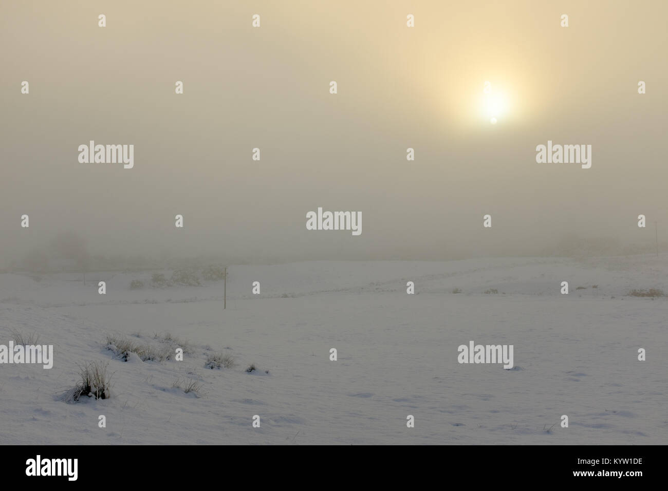 Scena invernale di nebbia di neve e di gelo nelle highlands scozzesi Foto Stock