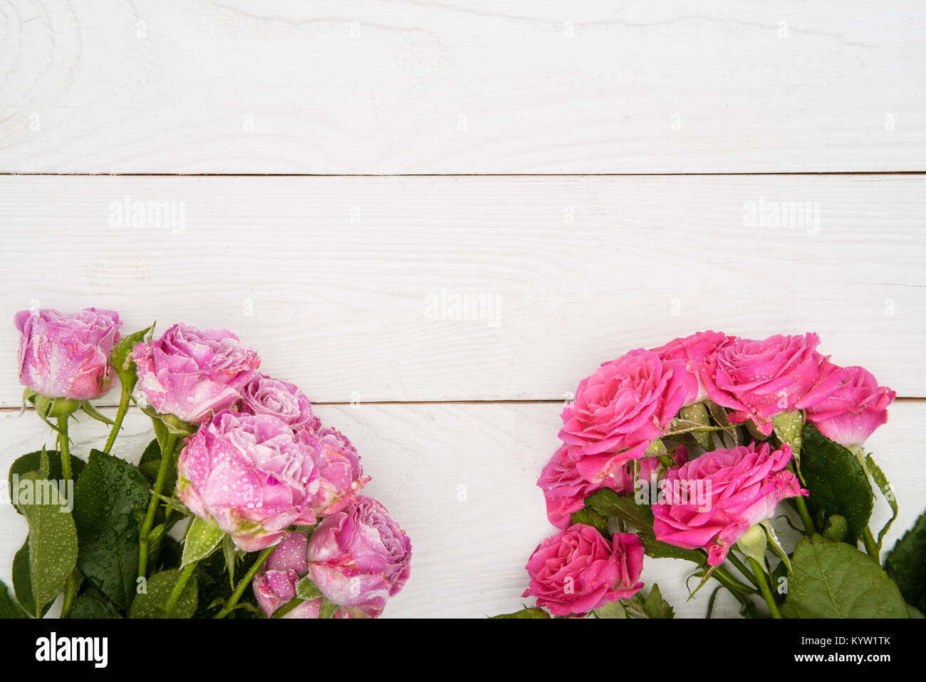 Vista dall'alto di un bel colore rosa rose con gocce di acqua su una superficie di legno Foto Stock