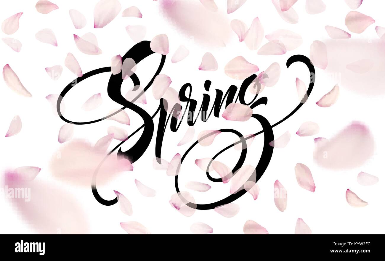 La molla lettering banner web modello. Colore rosa sakura cherry blossom flower cielo blu sullo sfondo del paesaggio design. Illustrazione Vettoriale Illustrazione Vettoriale