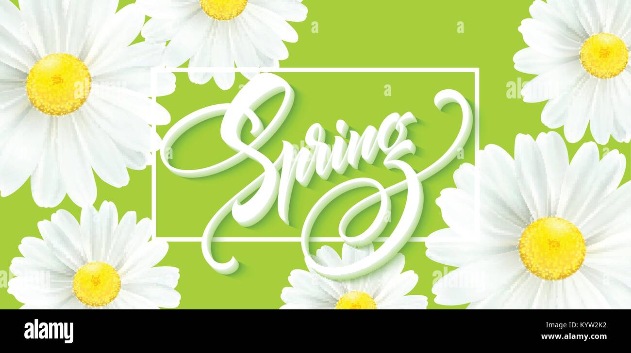 Iscrizione calligrafico Ciao molla con fiore di primavera - blooming Daisy bianca. Illustrazione Vettoriale Illustrazione Vettoriale