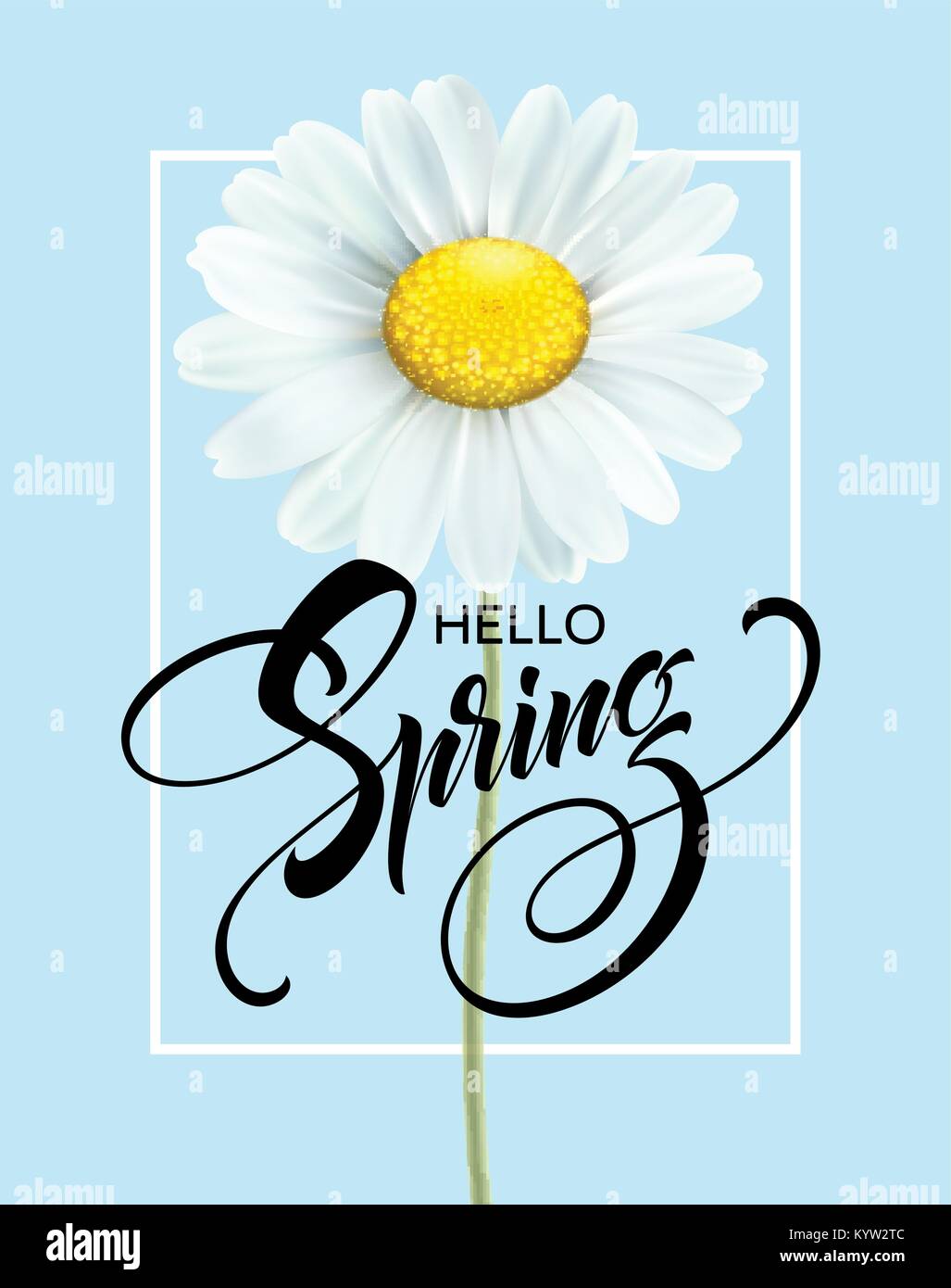 Iscrizione calligrafico Ciao molla con fiore di primavera - blooming Daisy bianca. Illustrazione Vettoriale Illustrazione Vettoriale