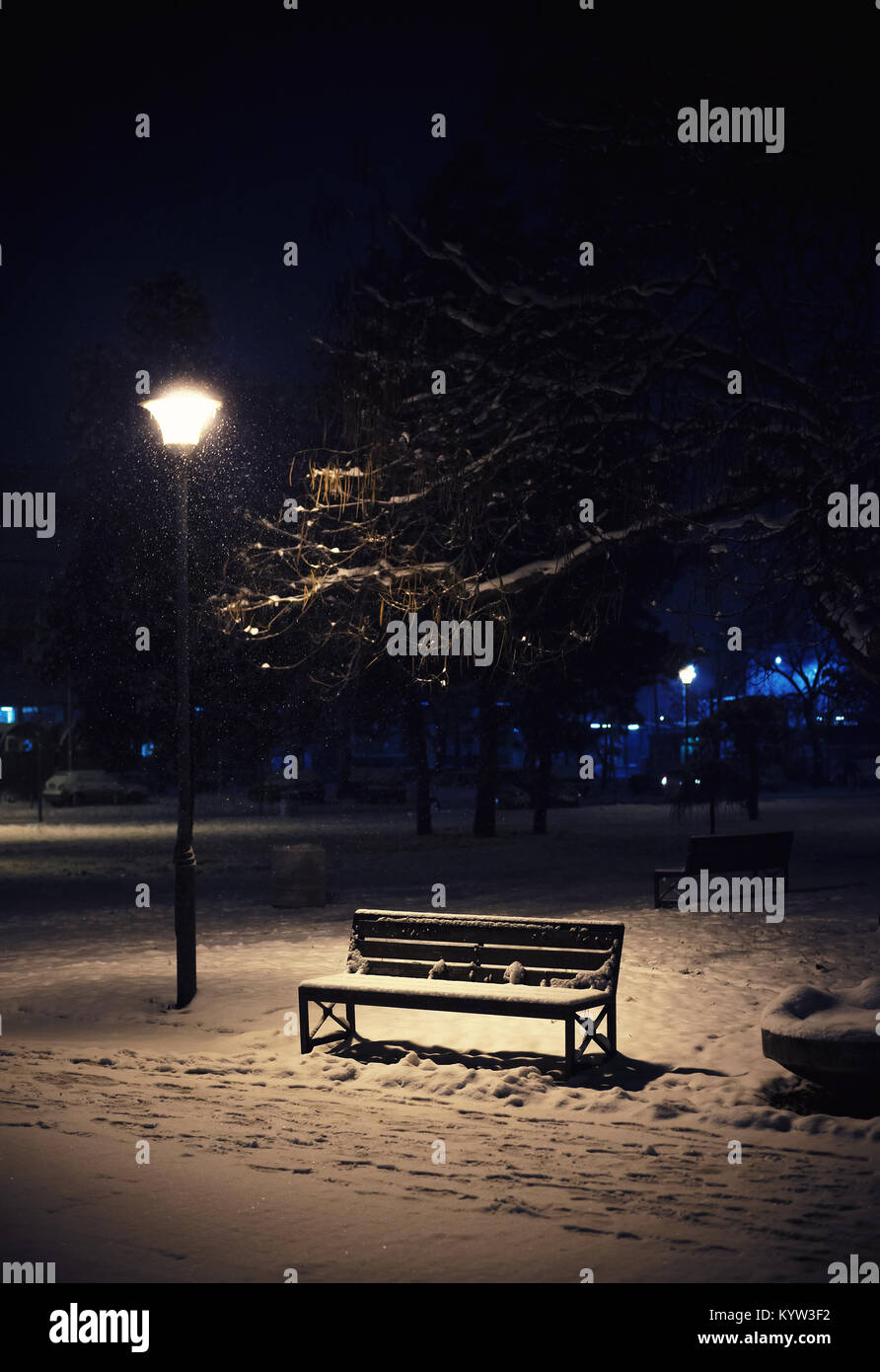 Una scena notturna da un parco cittadino, in vista di un banco, un lampion, e coperti di neve rami. Foto Stock
