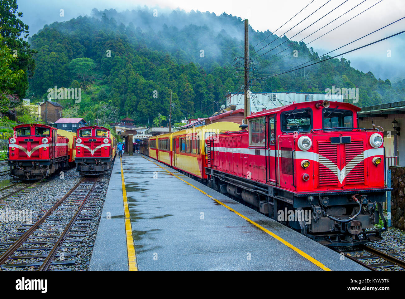 Linea ferroviaria nel alishan forest recreation area Foto Stock