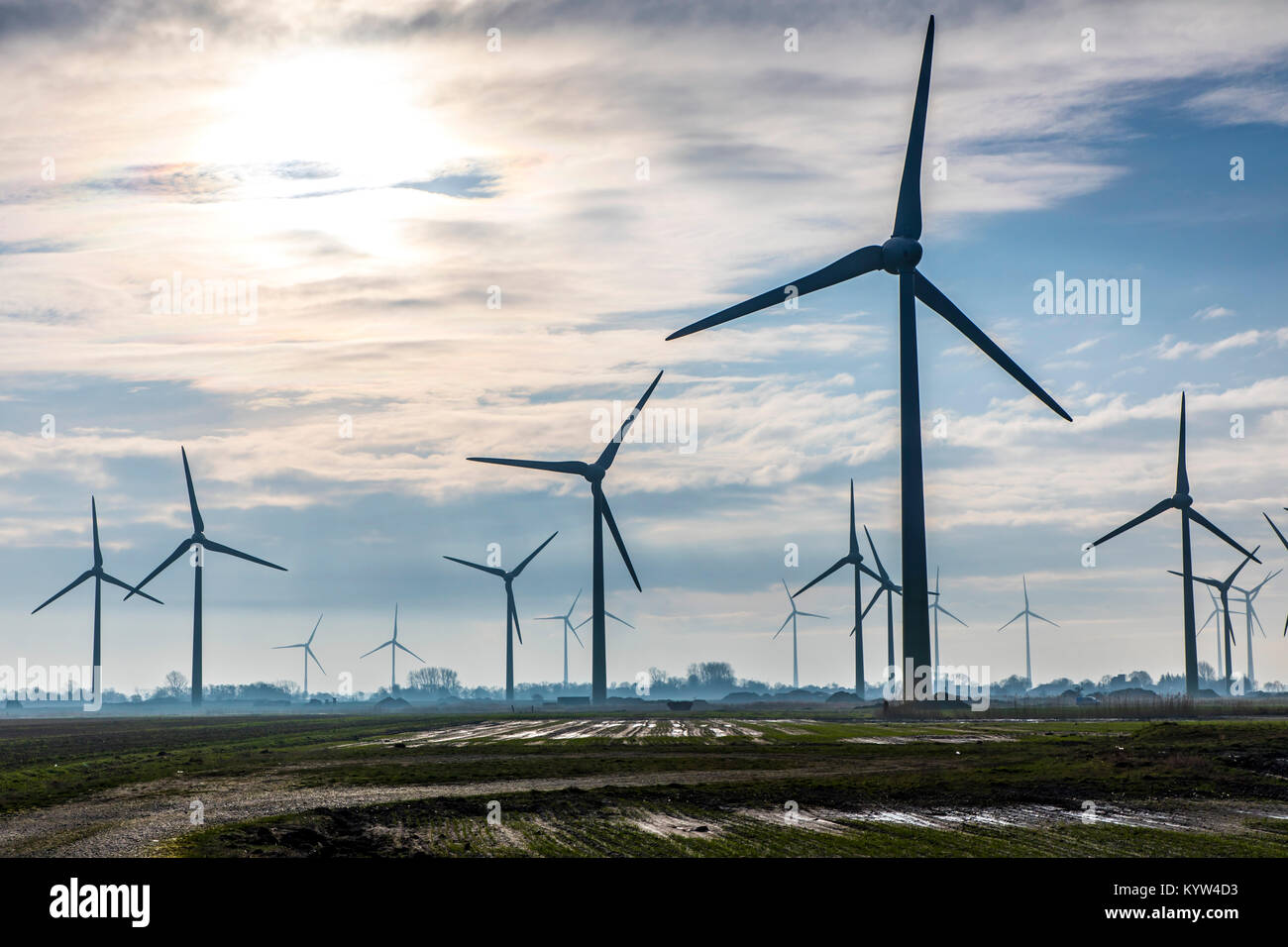 Impianto di energia eolica, wind farm in Frisia orientale, Bassa Sassonia, Germania settentrionale, Foto Stock