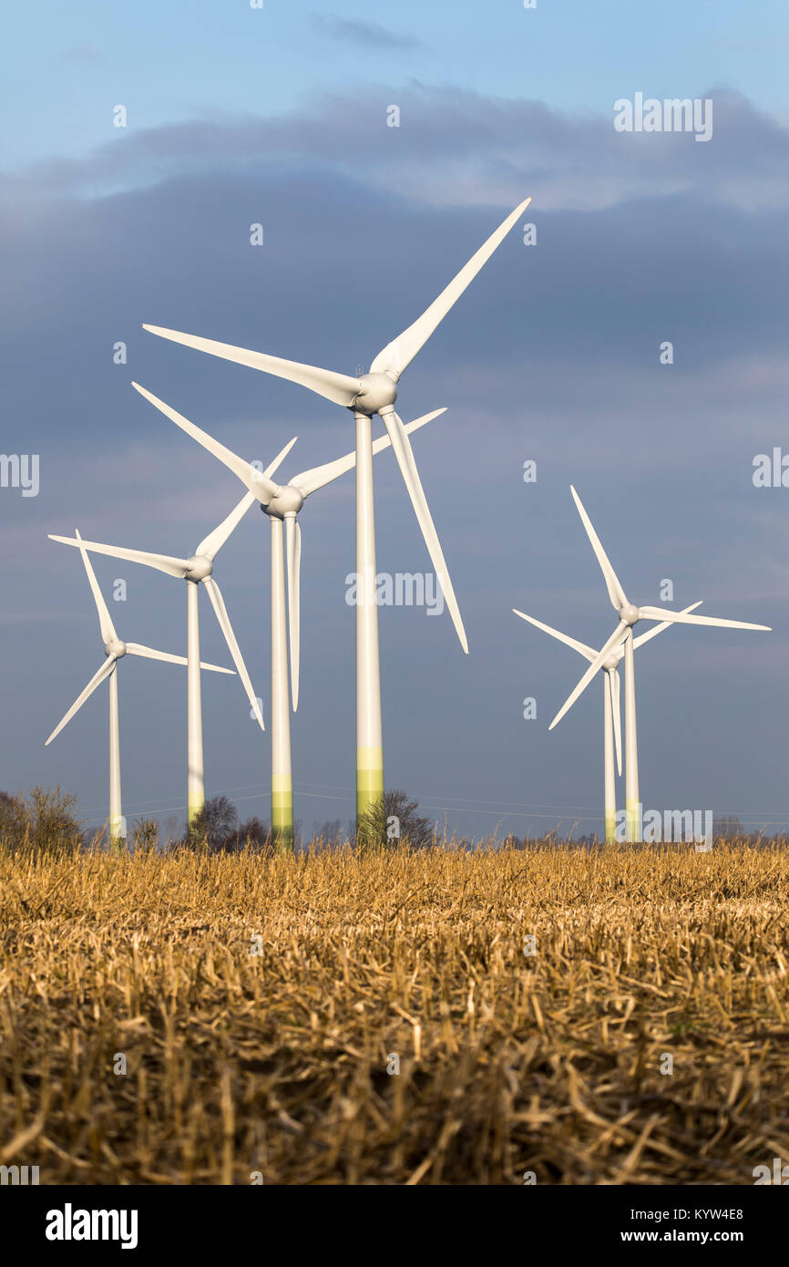 Impianto di energia eolica, wind farm in Frisia orientale, Bassa Sassonia, Germania settentrionale, Foto Stock