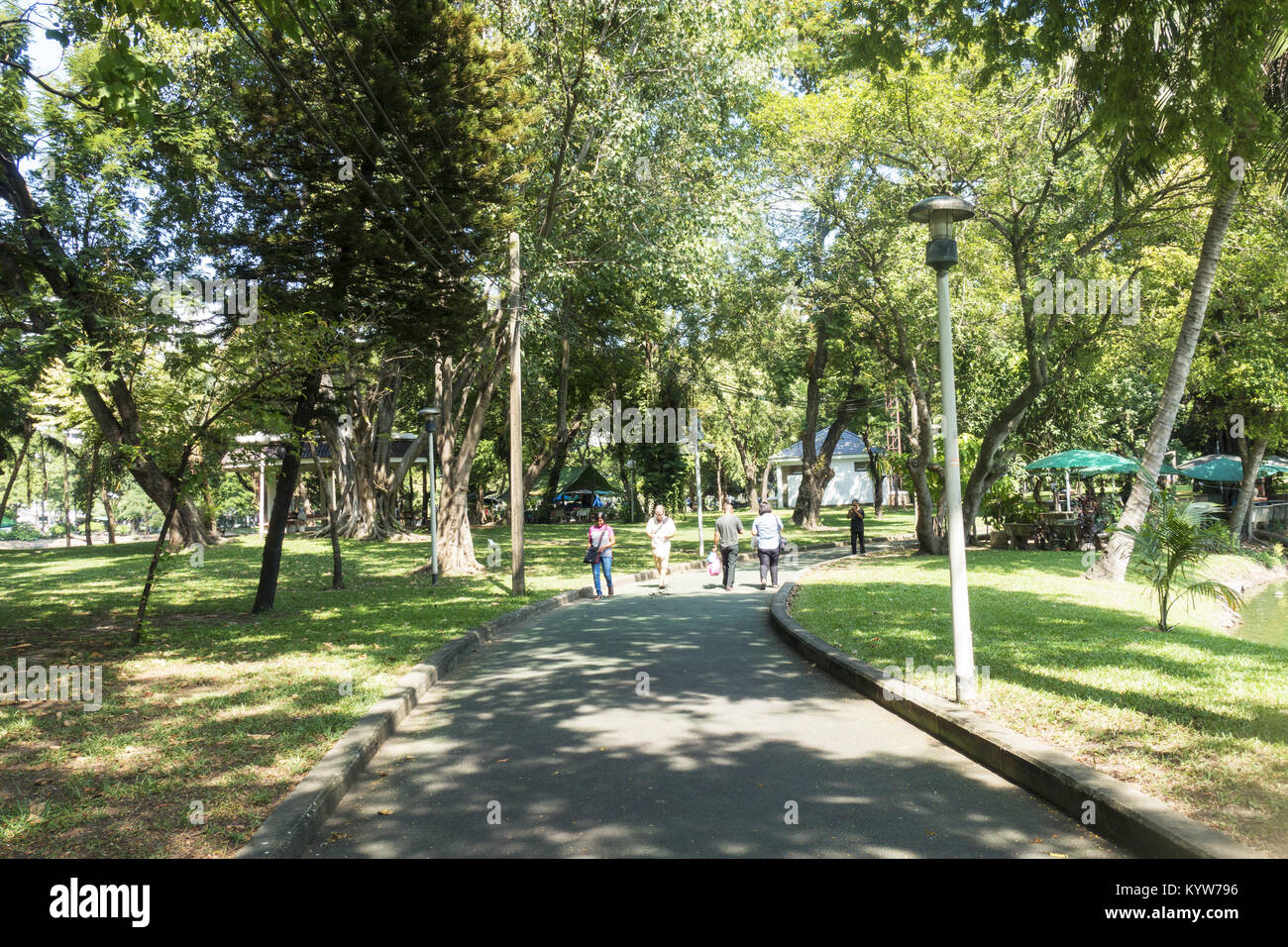 Bangkok, Thailandia - Novembre 2017: Parco Lumpini, una delle poche aree verdi della città con alberi. Foto Stock