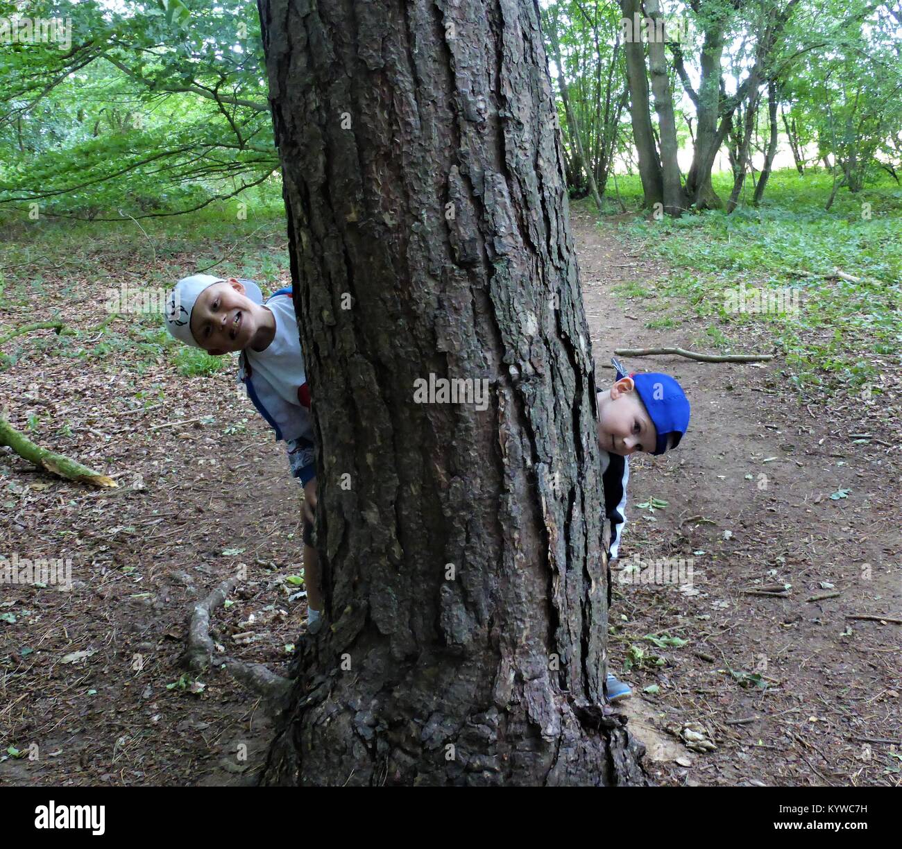 Due ragazzi Indossando cappellini da baseball fa capolino fuori dal intorno a un grande albero Foto Stock