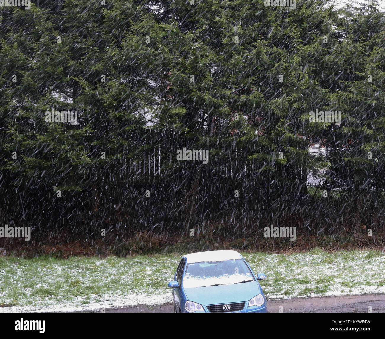 Moira, County Down, Irlanda del Nord. Il 16 gennaio 2018. Regno Unito - meteo neve invernale e le docce sono stati ampi attraverso l'Irlanda del Nord di oggi, il Met Office ha aggiornato la sua neve e ghiaccio avvertimento da "giallo" a "ambra" con il martedì sera essendo potenzialmente un periodo difficile. Neve pesante è ora rientranti in questa area (14.40 GMT). La neve cade nel villaggio di Moira, County Down. Credito: David Hunter/Alamy Live News. Foto Stock