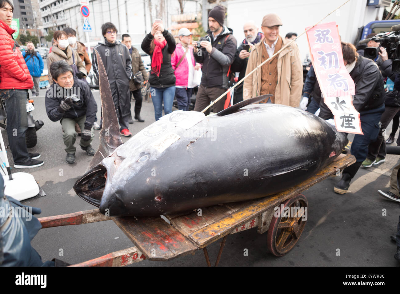 Lavoratori portano a 405 kg il tonno rosso da Oma, nella prefettura di Aomori, al di fuori di Tsukiji all'ingrosso mercato alimentare a Tokyo in Giappone il 5 gennaio 2018. Gruppo Yamayuki offerta il prezzo più alto di tonno del peso di 405 kg per 36.45 milioni di yen all'asta. Tokyo famosa nel mondo per il mercato del pesce di Tsukiji venerdì ha tenuto il suo ultimo anno nuovo asta prima del suo trasferimento a Toyosu waterfront district in ottobre. Credito: AFLO/Alamy Live News Foto Stock