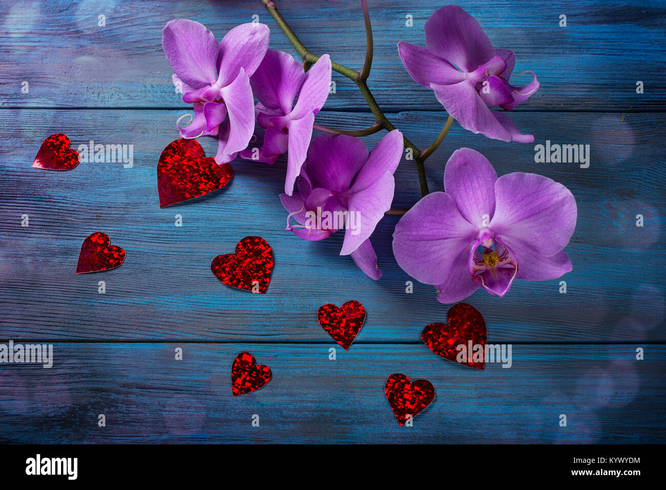 Orchidea viola e cuori sul blu, vecchio sfondo di legno Foto Stock