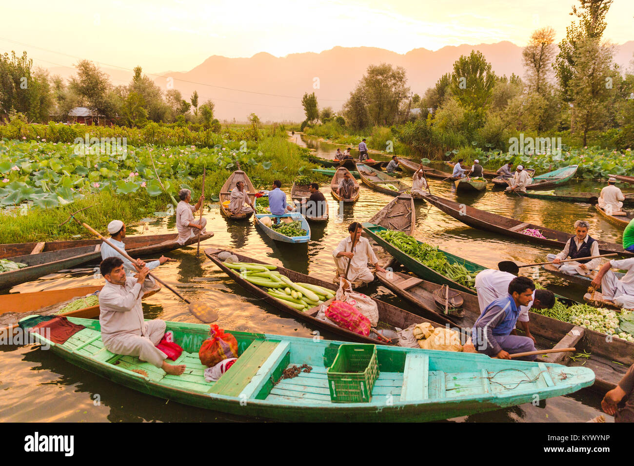 Srinagar Kashmir - Agosto 10 2017: gli agricoltori del Kashmir loro commercio home prodotti cresciuti alla mattina mercato ortofrutticolo all'interno dal lago, Kashmir Foto Stock