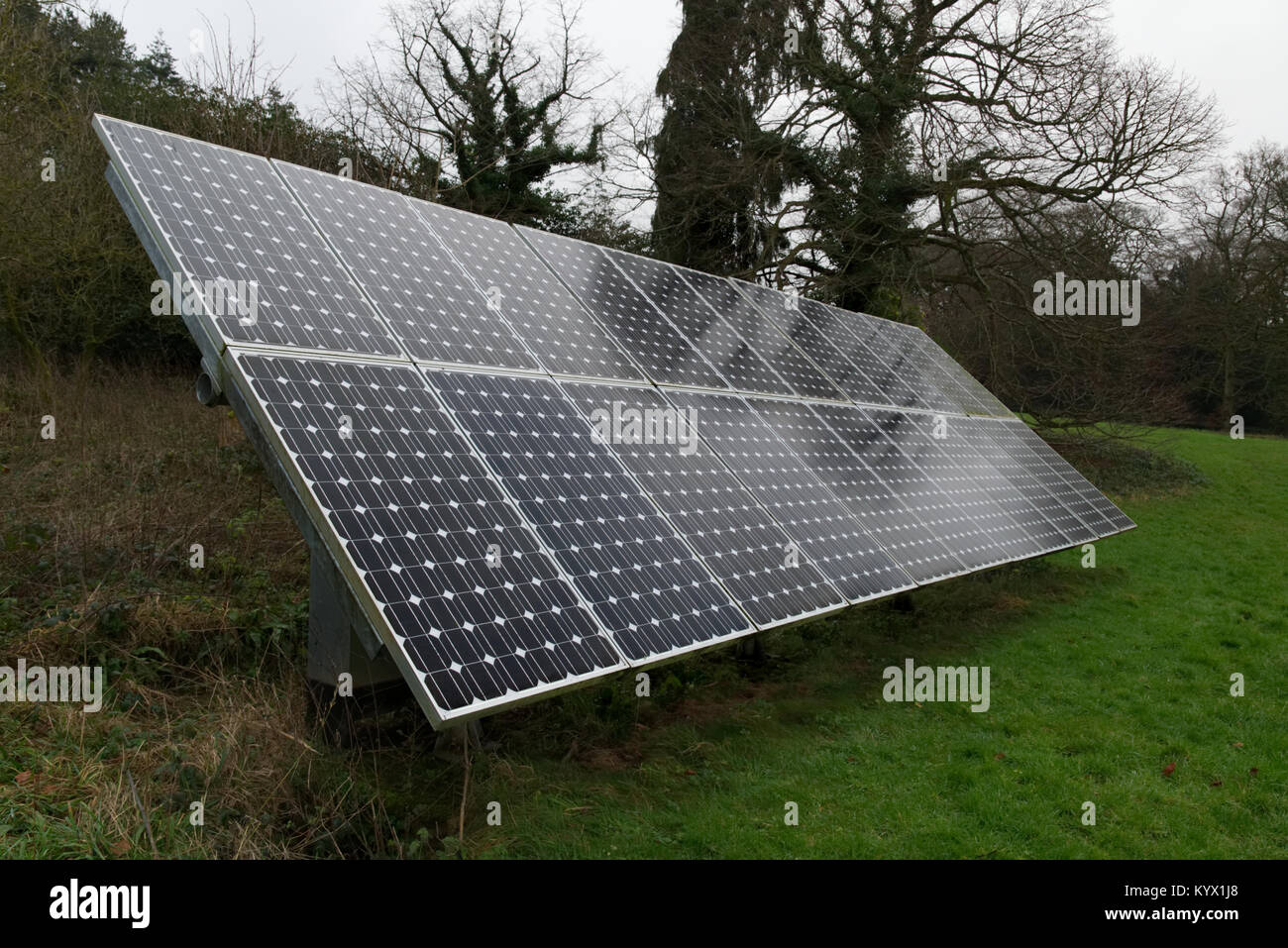 Le celle solari in campo verde con alberi in background. Alternative di energia rinnovabile concept Foto Stock