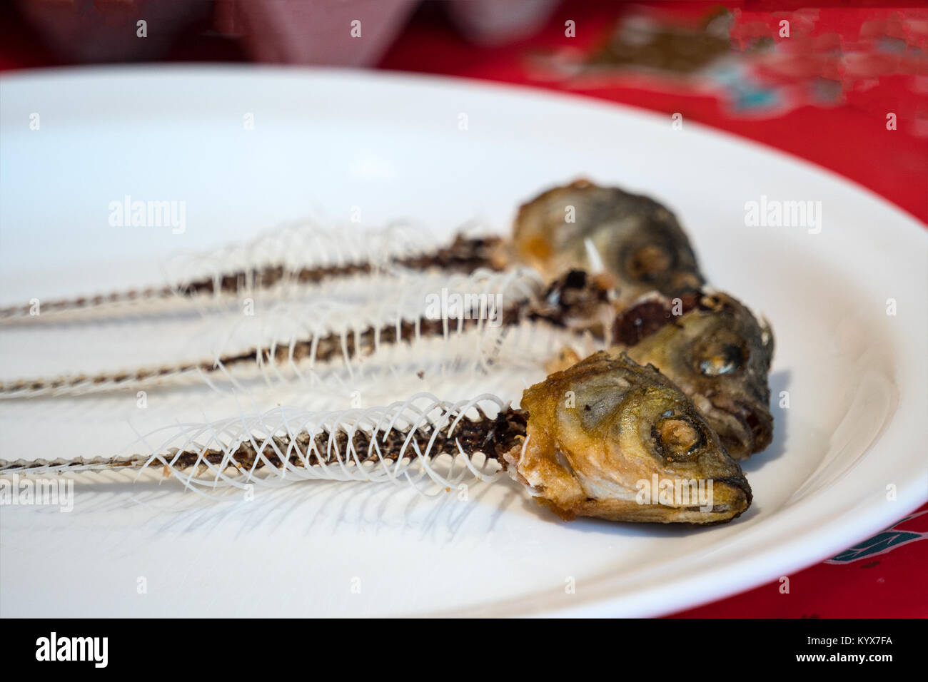 Scheletro di pesce su una piastra Foto Stock