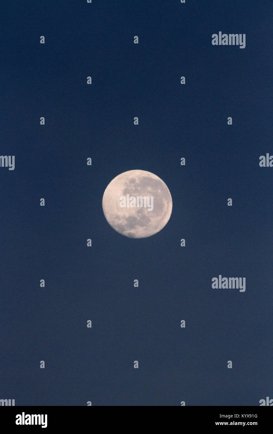 Luna piena nel crepuscolo della sera vicino a Victoria Falls, Zimbabwe. Foto Stock