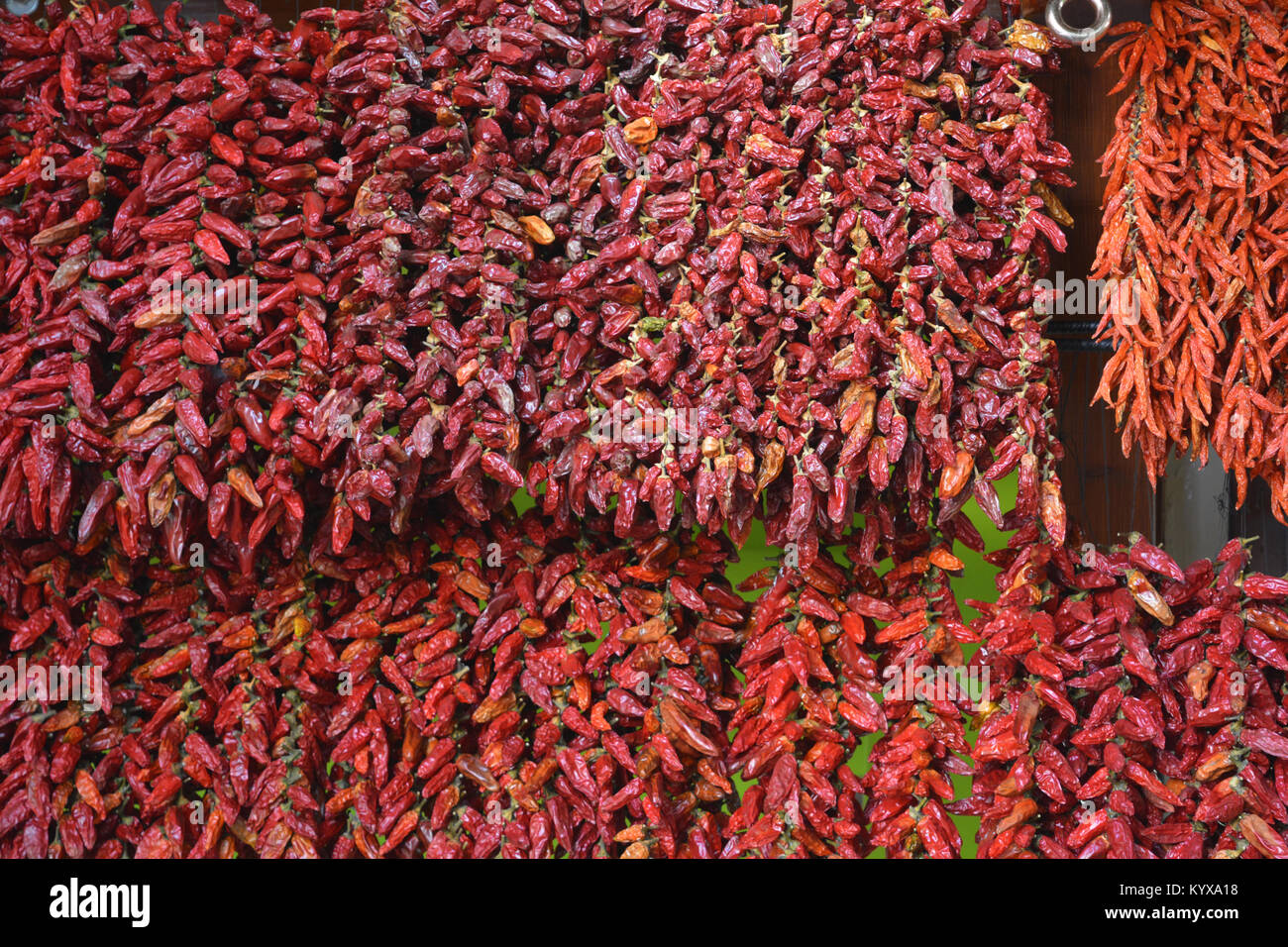 Peperoncino rosso appeso su un mercato in stallo, Mercado dos Lavradores, Funchal, Madeira, Portogallo Foto Stock