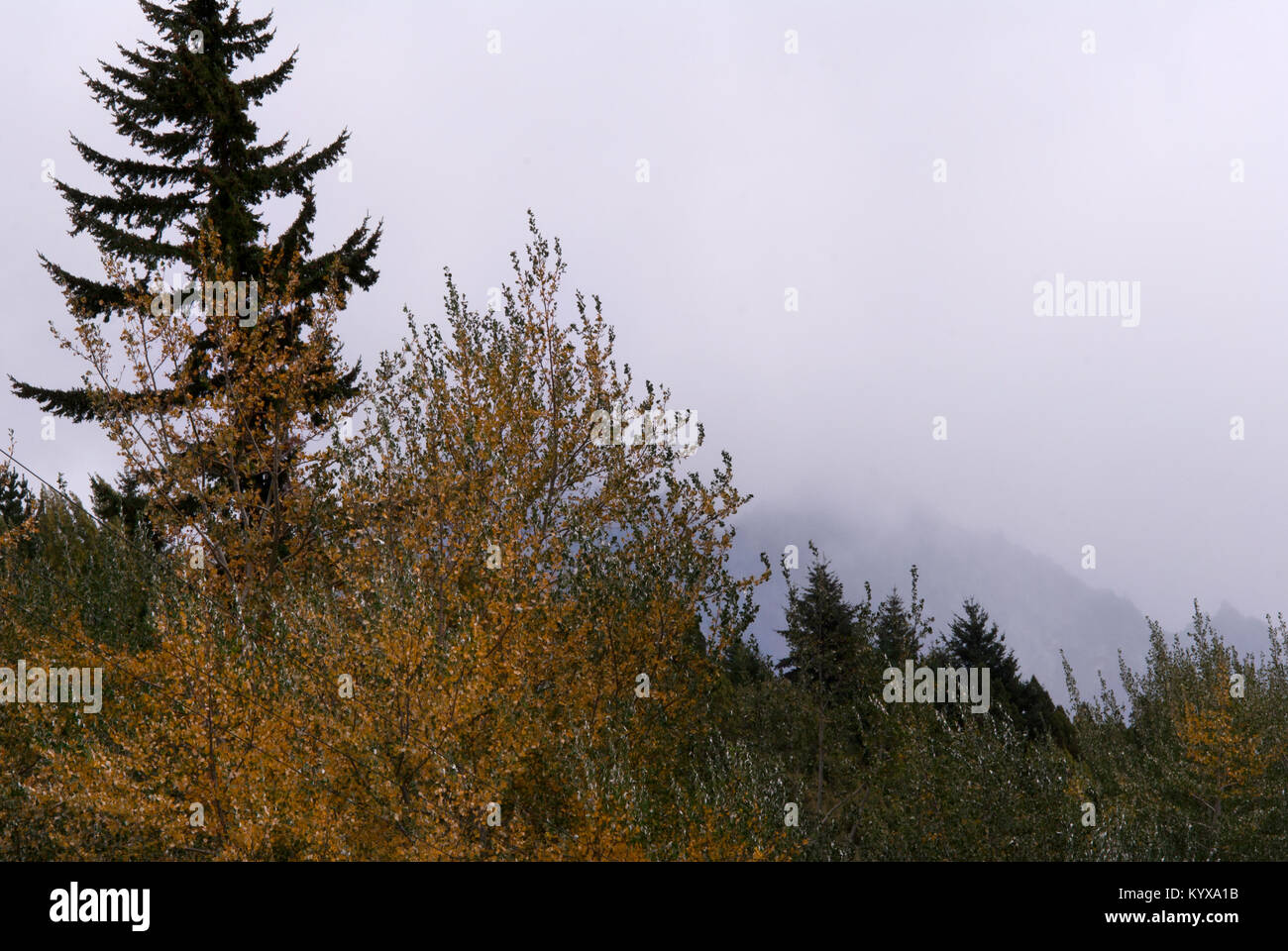 Bellissimo paesaggio autunnale vicino a Bariloche, Argentina Foto Stock