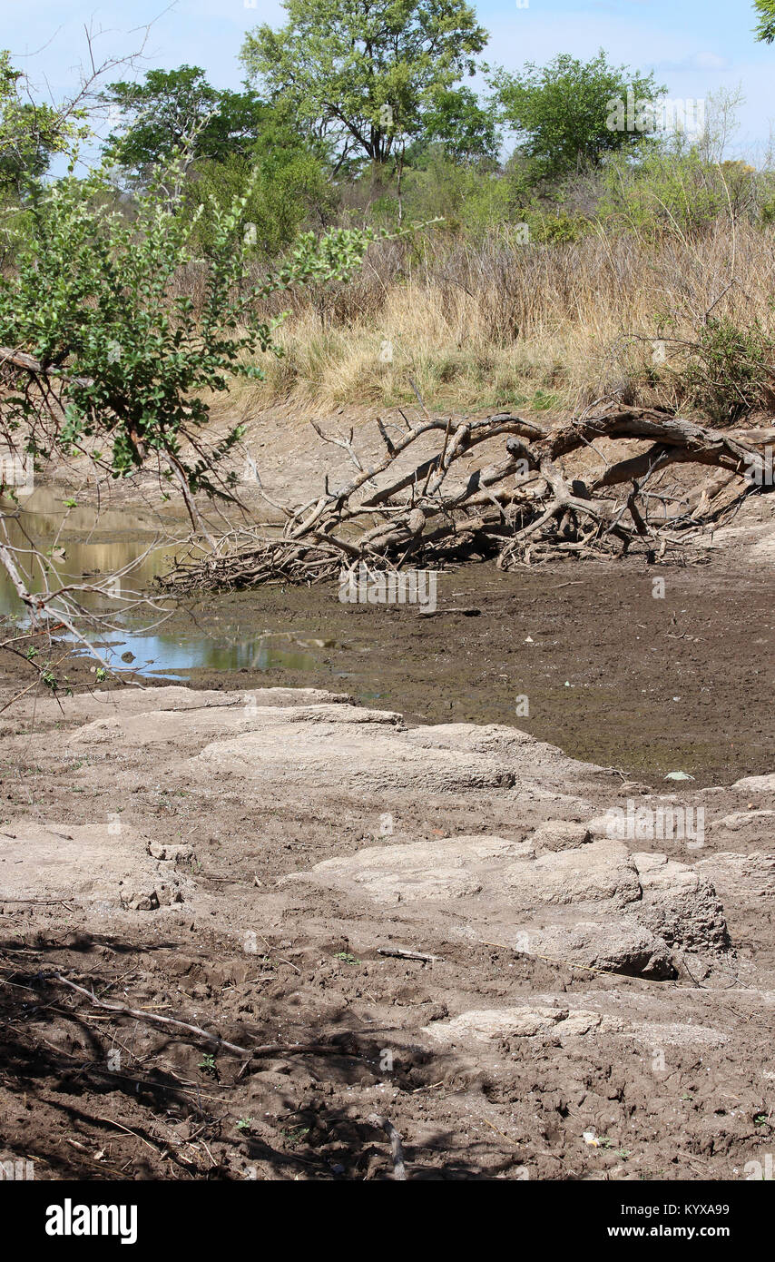 Asciugato il letto del fiume Victoria Falls riserva privata, Zimbabwe. Foto Stock