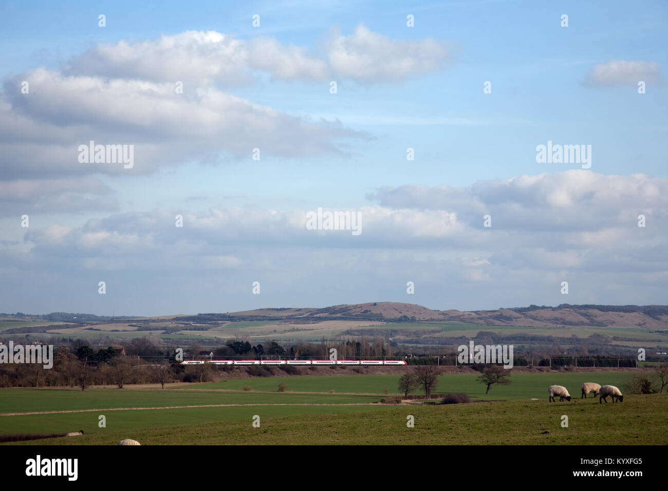 Un Virgin Trains Classe 390 treno pendolino passa di fronte Ivinghoe Beacon con pecora in primo piano. Buckinghamshire, Inghilterra. Foto Stock