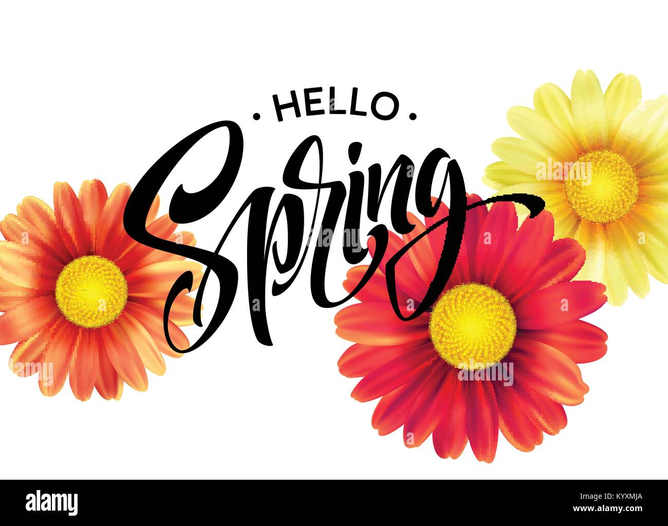 Fiore a margherita di sfondo e ciao molla Lettering. Illustrazione Vettoriale Illustrazione Vettoriale